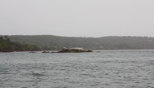 Les îles de Loos